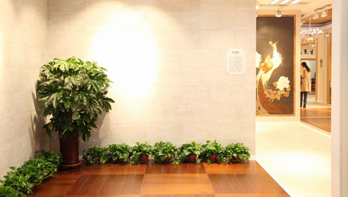 創(chuàng)新發(fā)展，永不止步 4