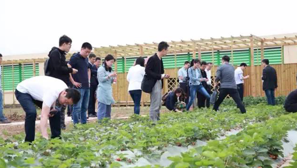 “2017年第五季室內設計-中國行”青島站 | 驚“天”動地，“鋒”起云涌 7