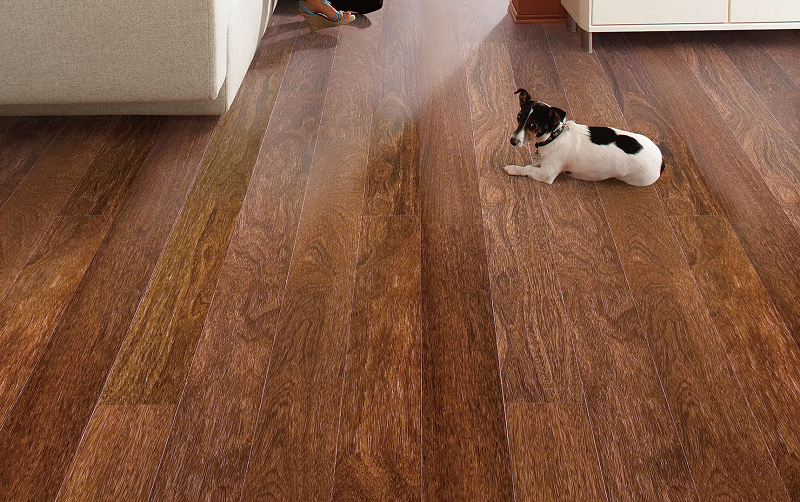 得高Parky進口地板，給家居添上藝術(shù)底色 圖片1