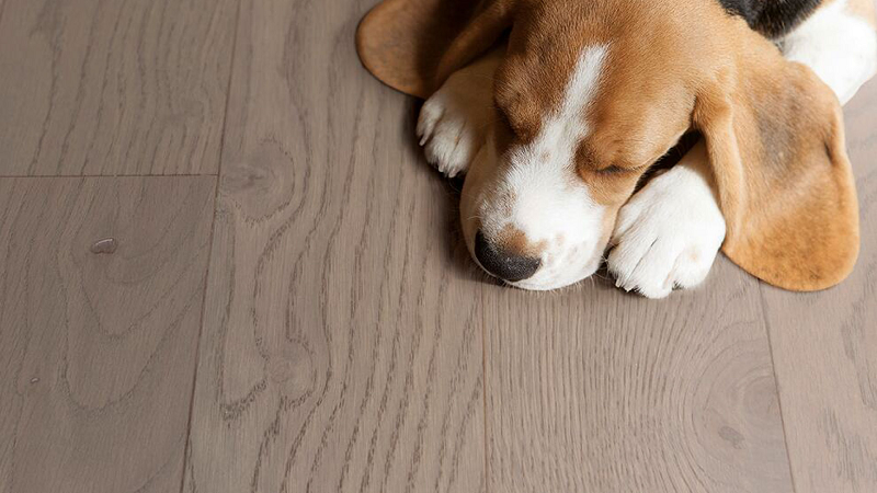 得高環(huán)保地板嚴標準、高品質！ 圖片7