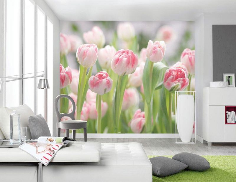 得高強墻聯(lián)手，描繪墻面畫卷    圖片5