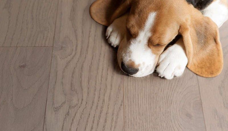 越科技，悅生活 圖片3