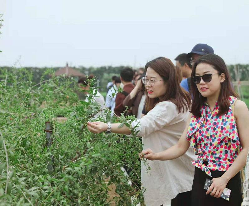 新浪家居“質(zhì)造行”，共證得高品牌力量，推動(dòng)品質(zhì)持續(xù)升級(jí) 圖片2