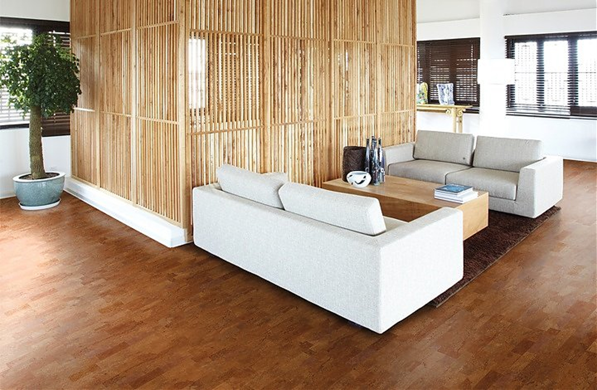 環(huán)保地板，放心裝家 圖片6