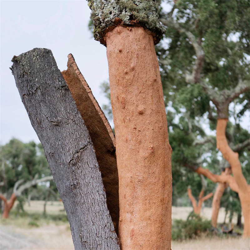 探索健康家居環(huán)境，得高地墻一體推動(dòng)居住升級(jí) image2