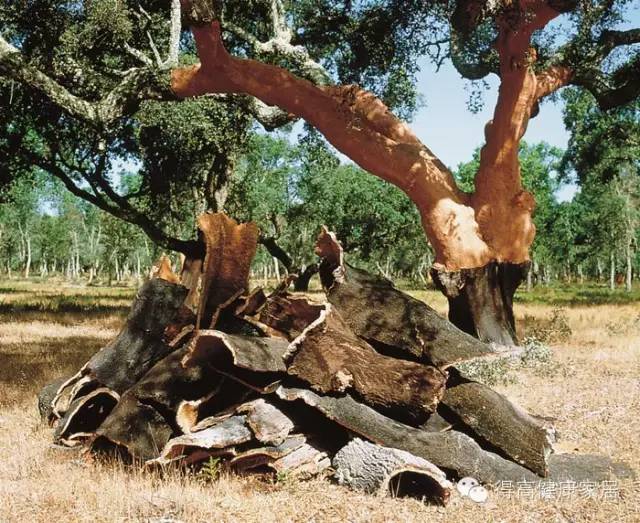 你可以永遠相信得高品質！ image4