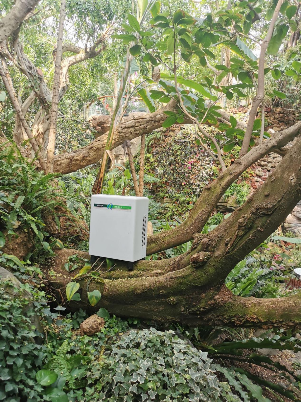 居家也要暢快呼吸，得高教你實(shí)現(xiàn)科學(xué)補(bǔ)氧！ image3