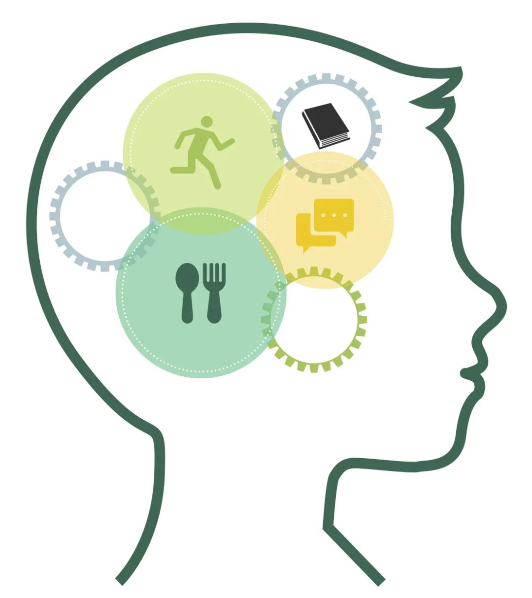 如何養(yǎng)成智慧大腦，讓我們一起探索其中的奧秘 image3