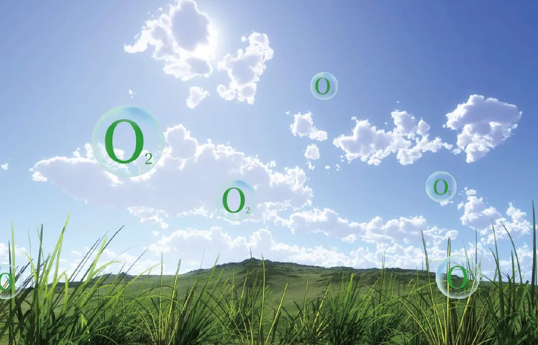 如何養(yǎng)成智慧大腦，讓我們一起探索其中的奧秘 image2