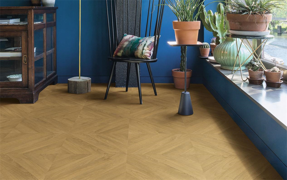 如何不限花期，于家中賞“花”？Come in！ image1