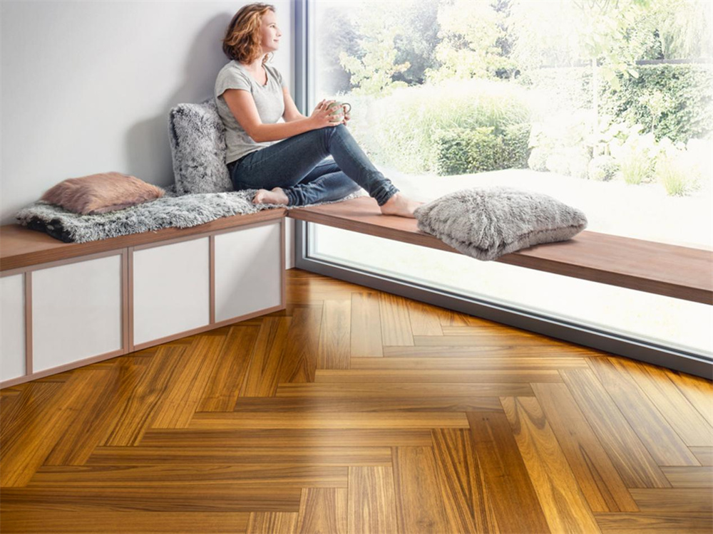 如何不限花期，于家中賞“花”？Come in！ image2