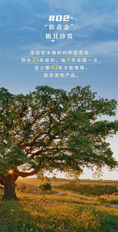 無懼挑剔眼光，裝飾材料的天花板！ image4