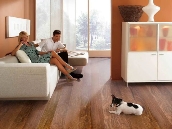 減到寶了！得高新春家裝補貼火熱進行中！ image