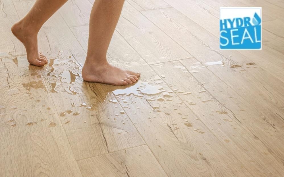 得高Quick-Step藝術(shù)木地板，踏響健康家居的詩(shī)意節(jié)拍 WPS圖片(1)