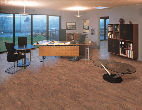 掌握軟木地板冬季保養(yǎng)技巧，輕松延長(zhǎng)使用壽命