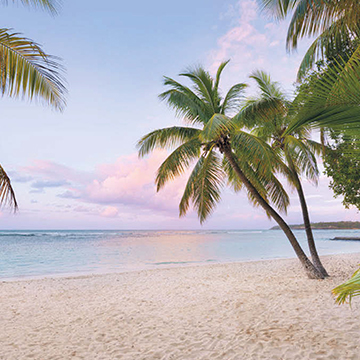 樂(lè)園的早晨SH086-VD4