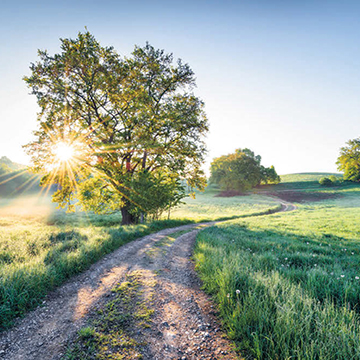 樂(lè)園新日SH084-VD4