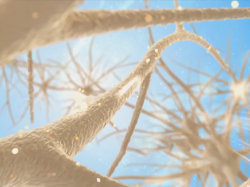 富氧讓你的大腦效率從2G變5G！ image1